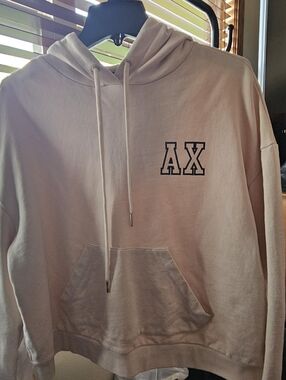 Armani Exchange AX Logo Hoodie in Light Beige